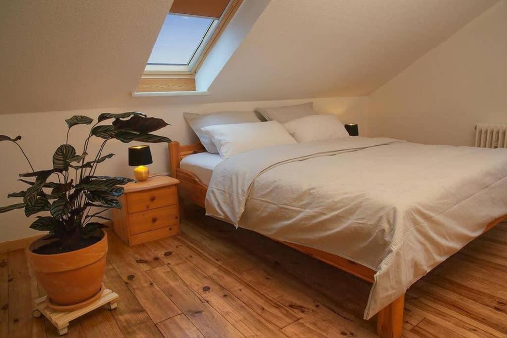 Ferienwohnung “Mount Meissner” Germerode المظهر الخارجي الصورة